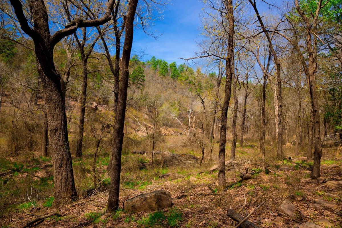 Decorative background for Stone Creek Phase II Tract 190 image 9
