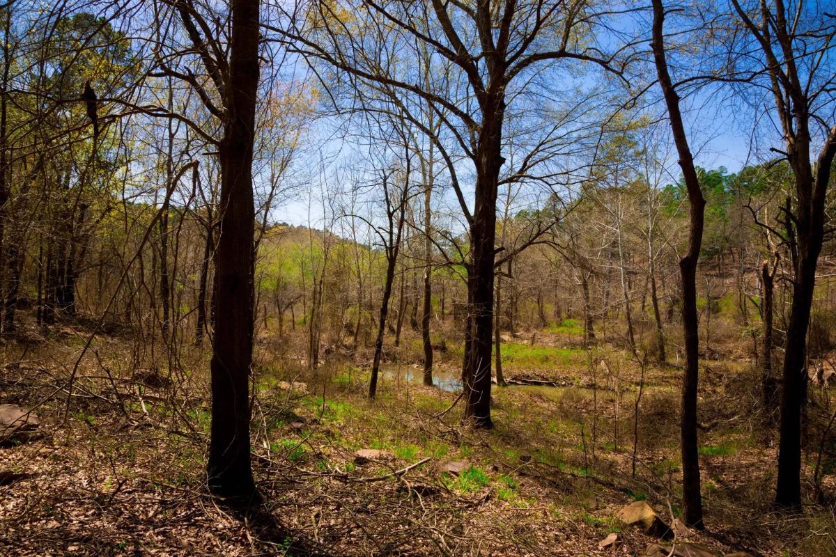 Decorative background for Stone Creek Phase II Tract 190 image 10