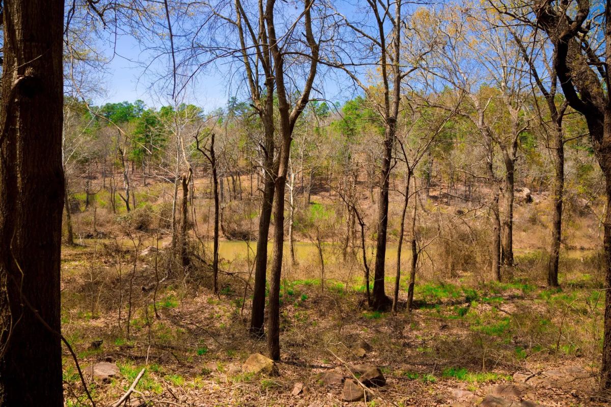 Decorative background for Stone Creek Phase II Tract 190 image 11