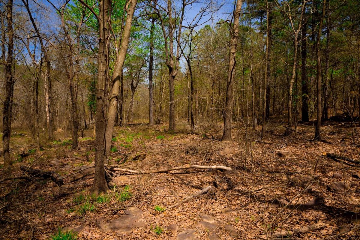 Decorative background for Stone Creek Phase II Tract 190 image 12