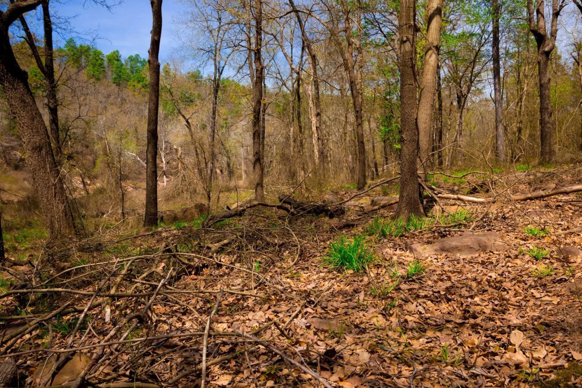 Decorative background for Stone Creek Phase II Tract 190 image 13