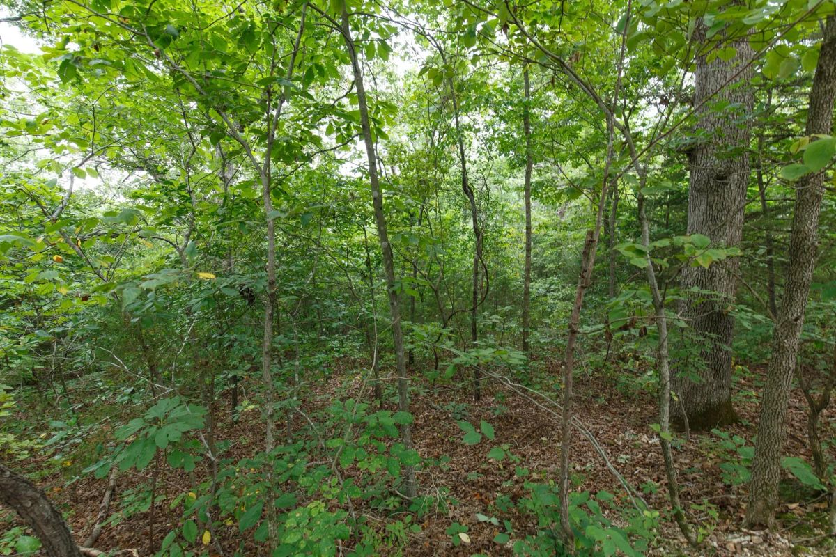 Spring Lake Plat 2 Tract 37 - Main image