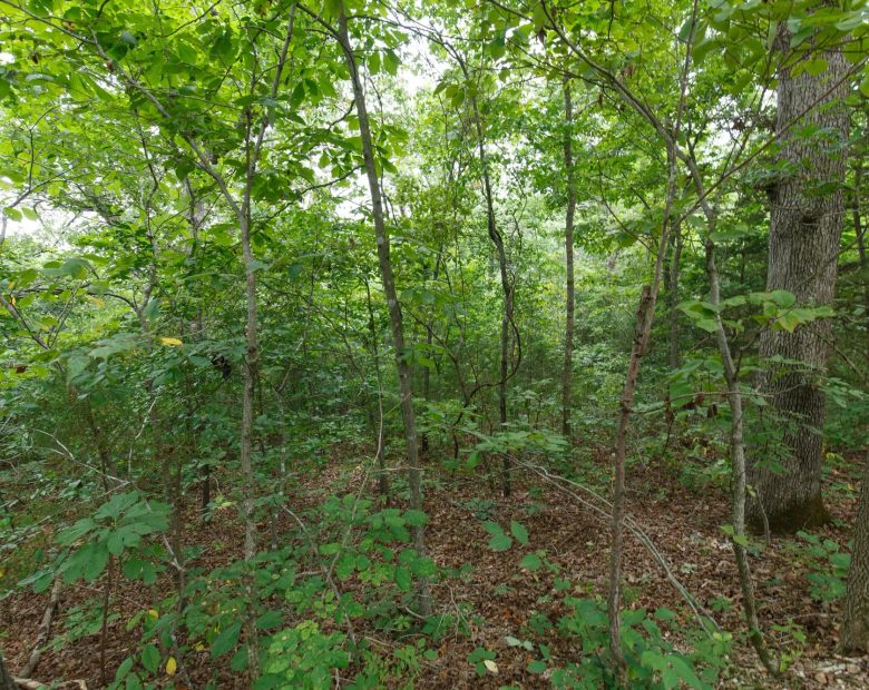 Spring Lake Plat 2 Tract 37 in Miller County, MO