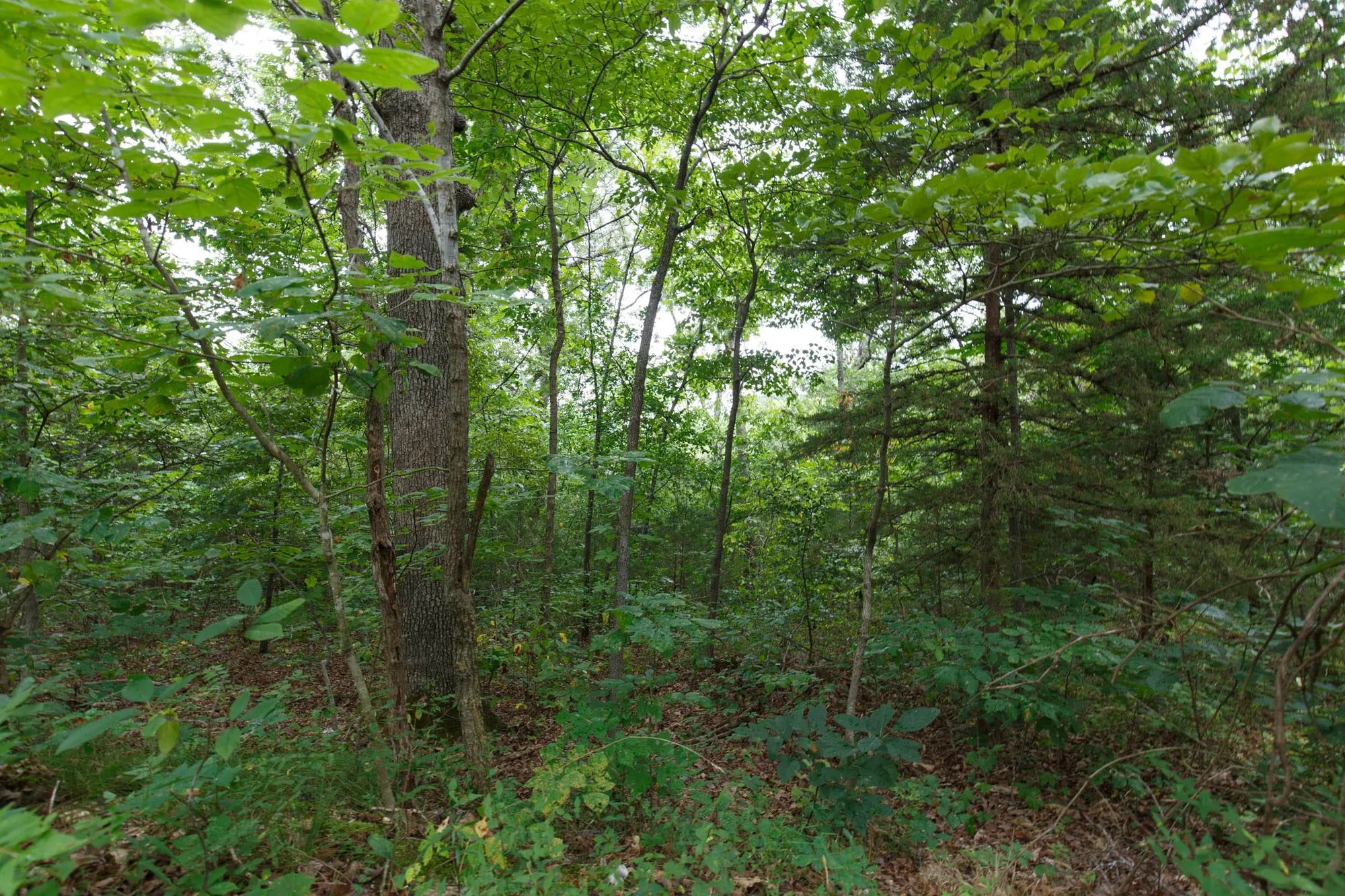 Spring Lake Plat 2 Tract 37 in Miller County, MO