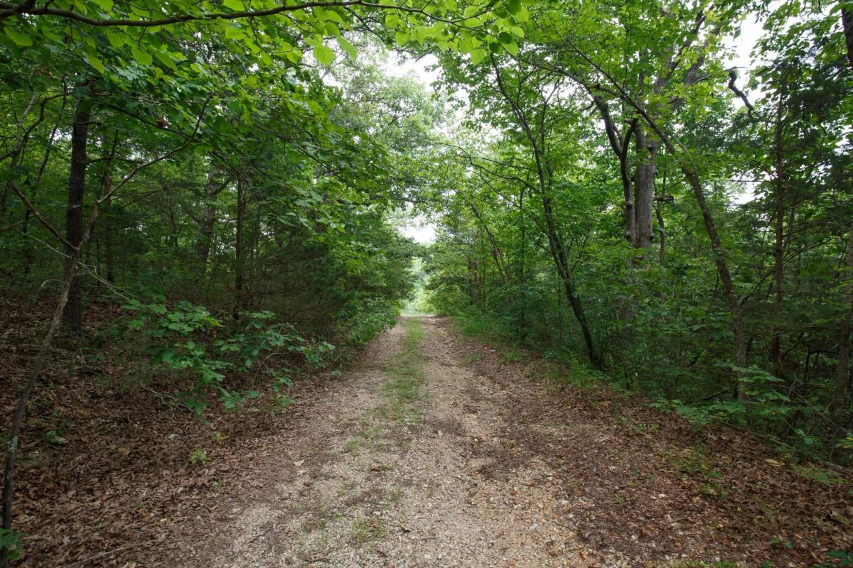 Spring Lake Plat 2 Tract 37 - Image 3
