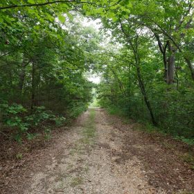 Spring Lake Plat 2 Tract 37 in Miller County, MO