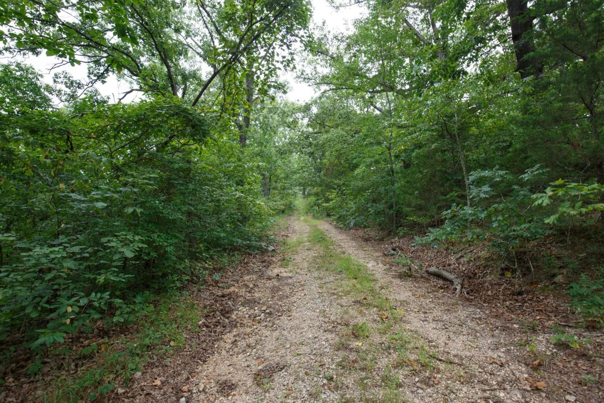 Spring Lake Plat 2 Tract 37 - Image 4