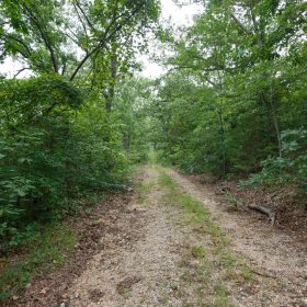 Spring Lake Plat 2 Tract 37 in Miller County, MO
