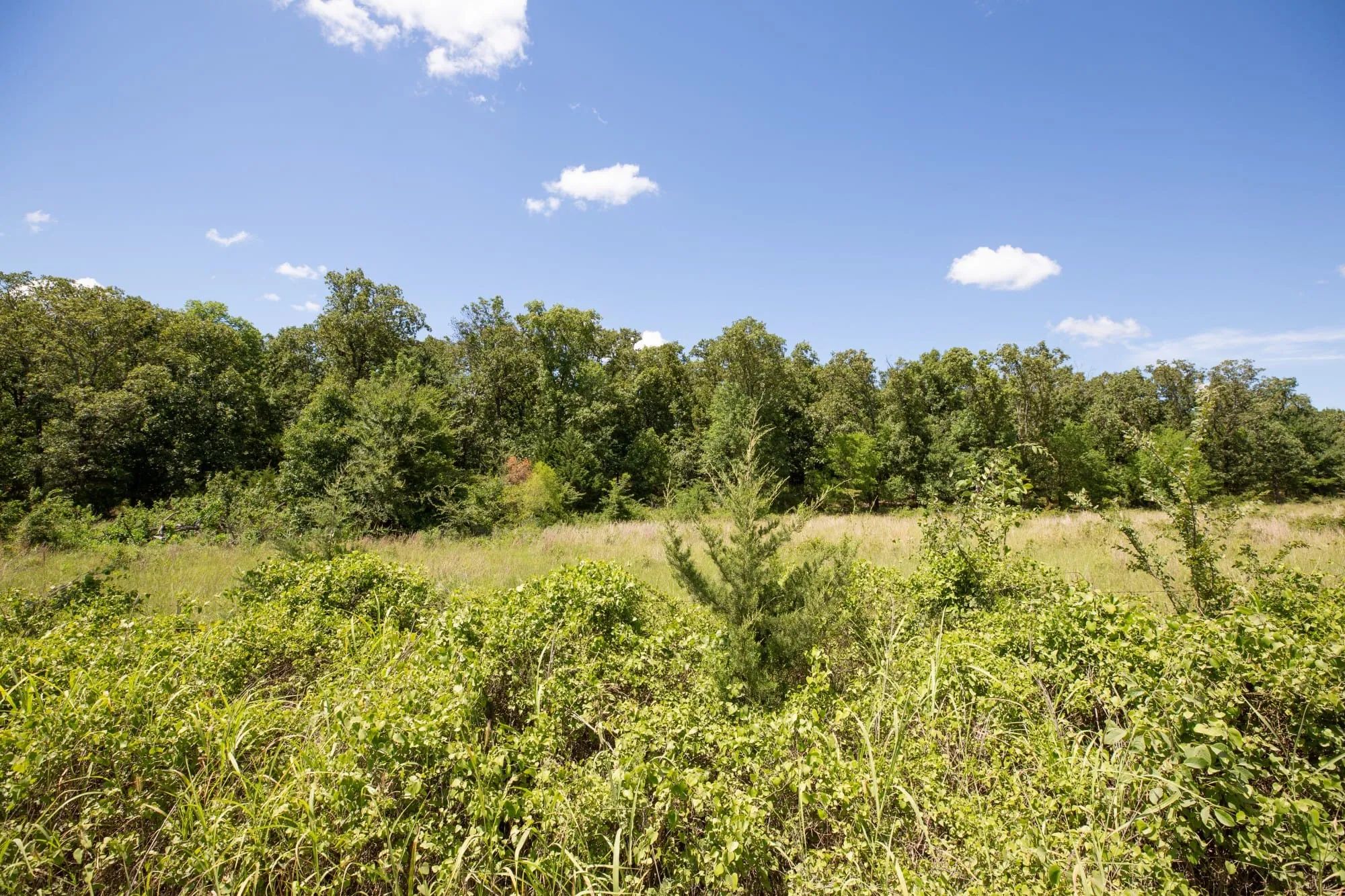 Paradise Valley Tract 22 in Pittsburg County, OK