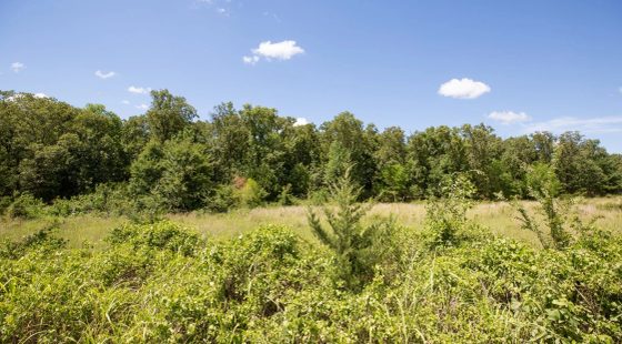 Paradise Valley Tract 22 in Pittsburg County, OK