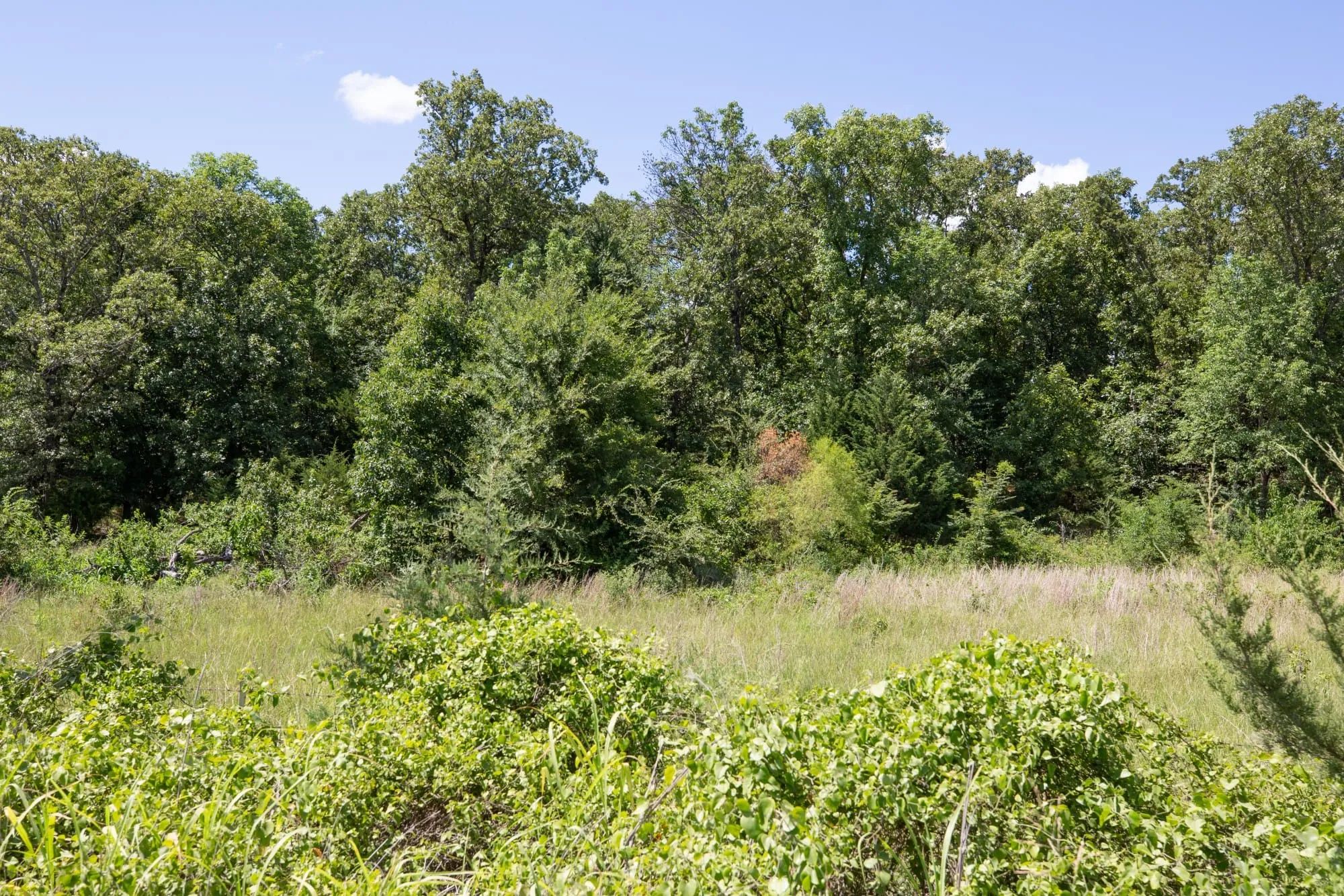 Paradise Valley Tract 22 in Pittsburg County, OK