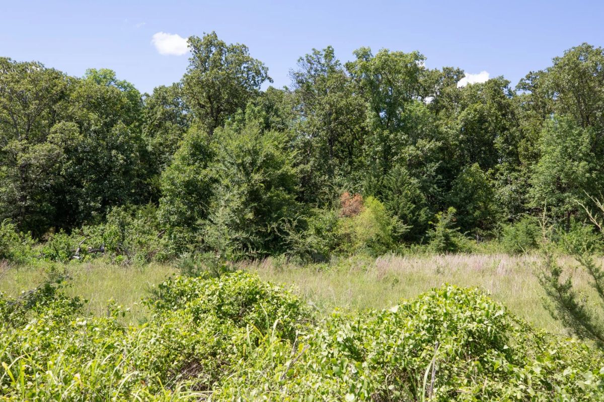 Paradise Valley Tract 22 - Image 3