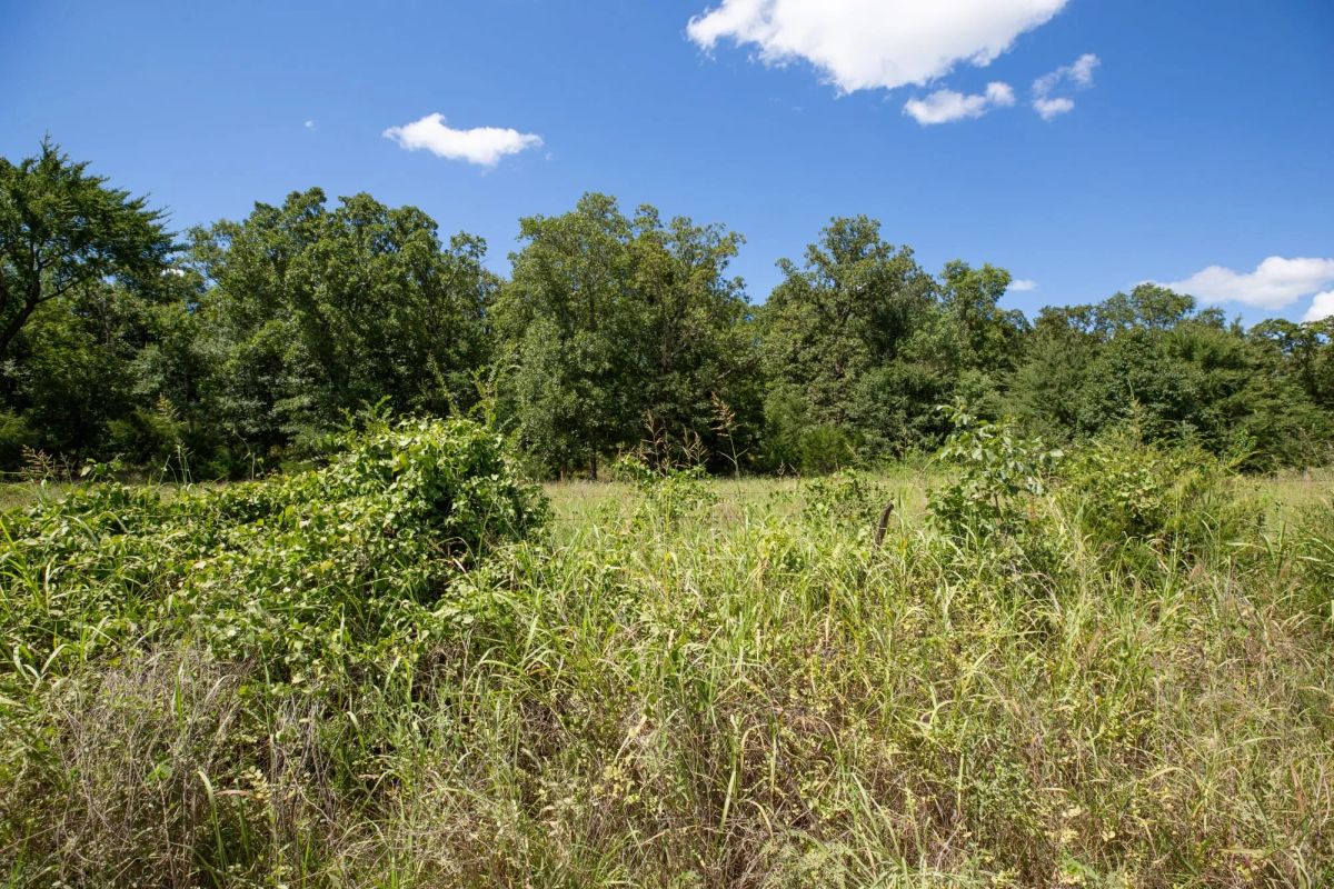 Decorative background for Paradise Valley Tract 22 image 9