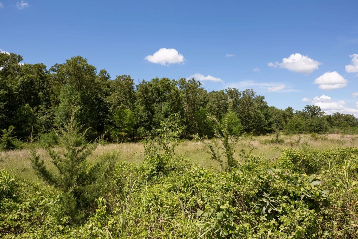 Decorative background for Paradise Valley Tract 22 image 11
