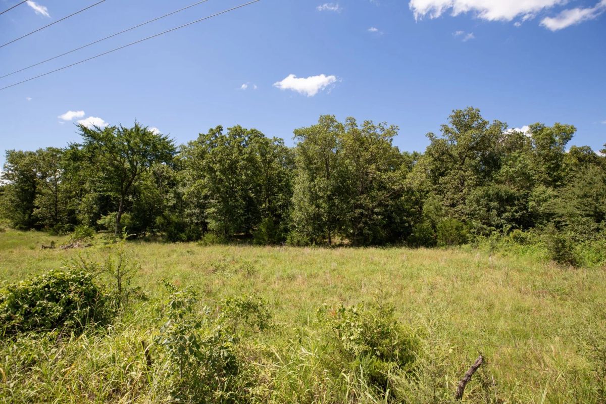 Decorative background for Paradise Valley Tract 22 image 12