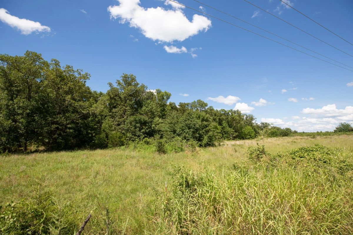 Decorative background for Paradise Valley Tract 22 image 13