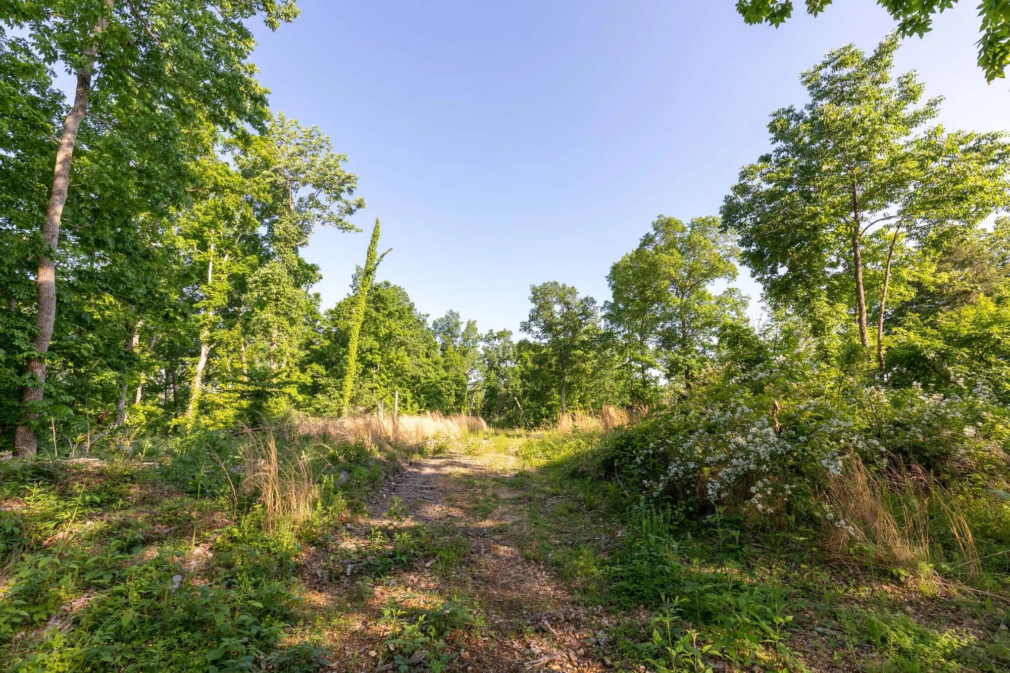 Cedar Creek Tract 52 in Perry County, TN