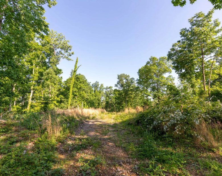 Cedar Creek Tract 52 in Perry County, TN