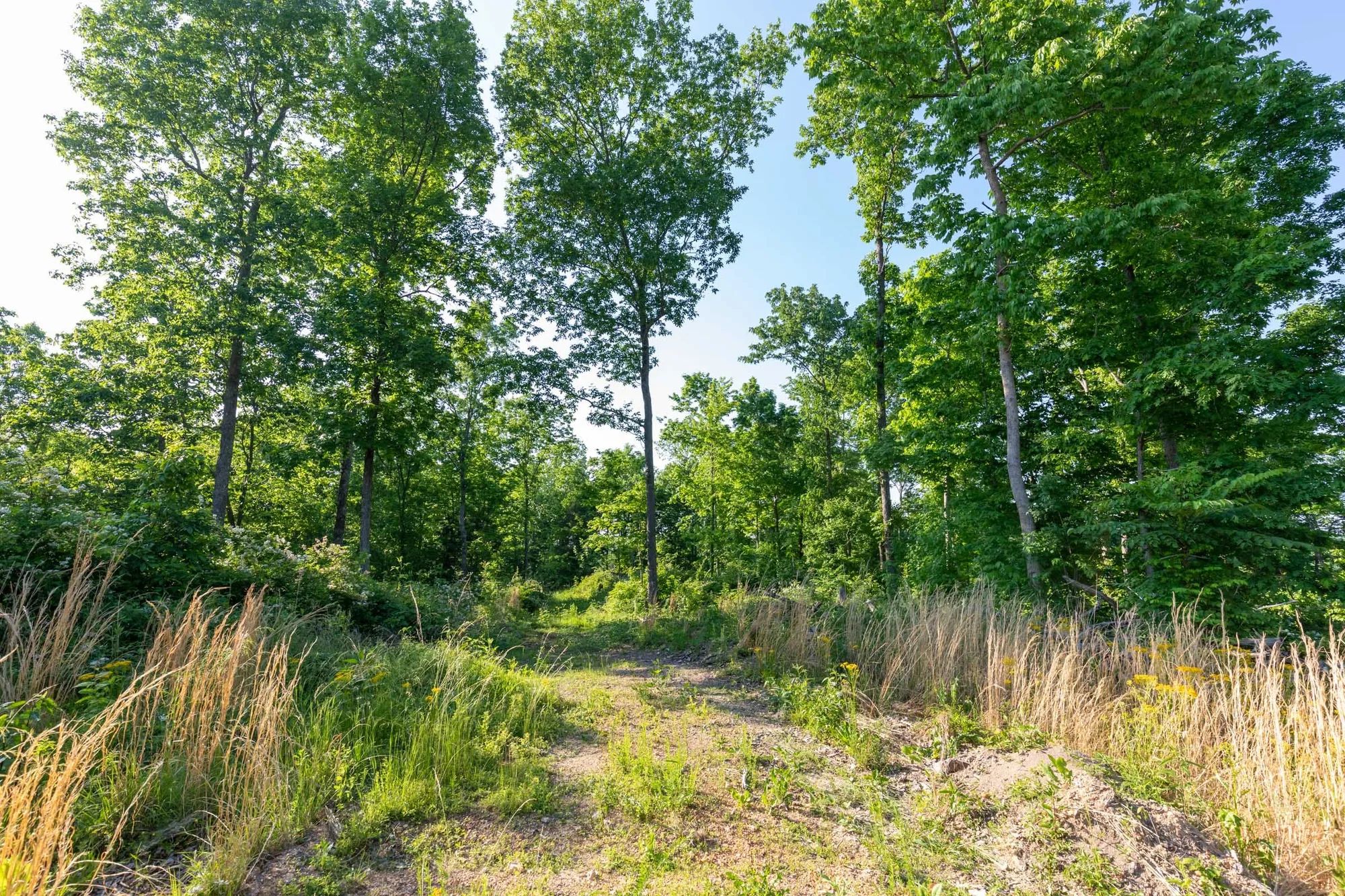 Cedar Creek Tract 52 in Perry County, TN