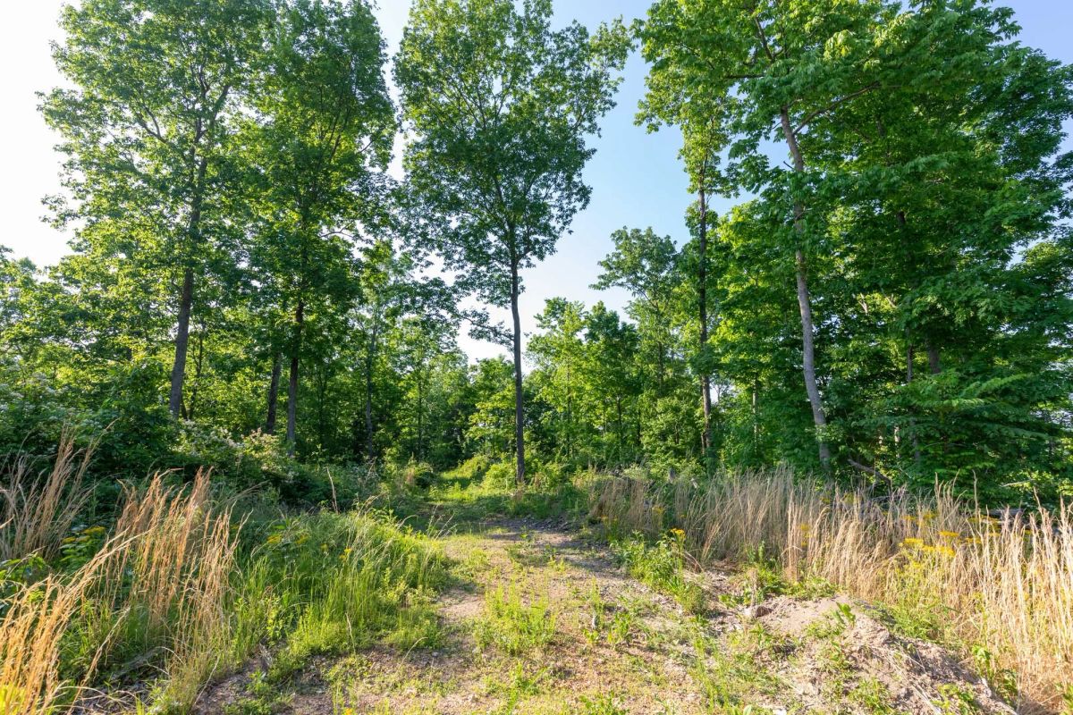 Cedar Creek Tract 52 - Image 2