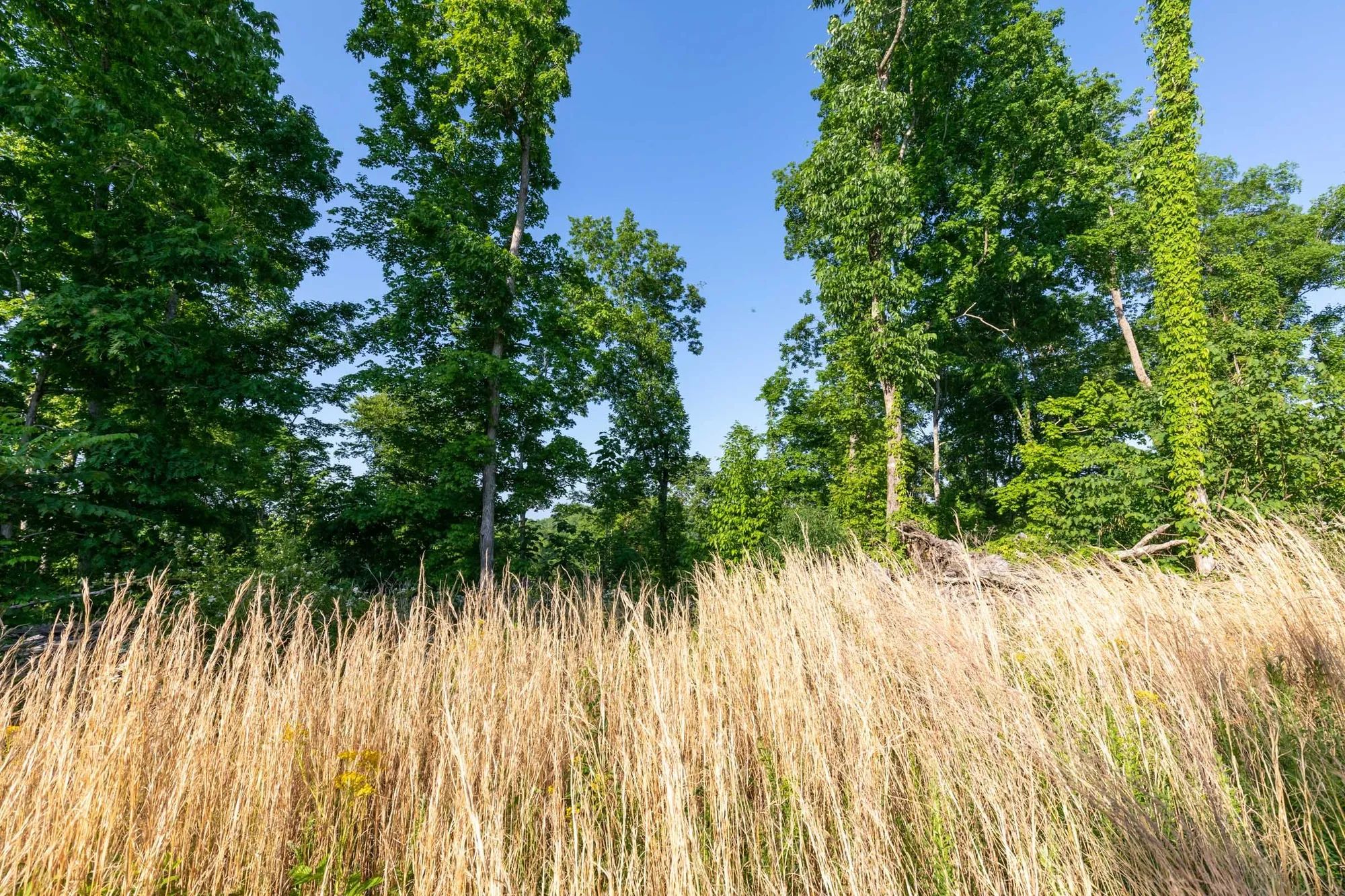 Cedar Creek Tract 52 in Perry County, TN