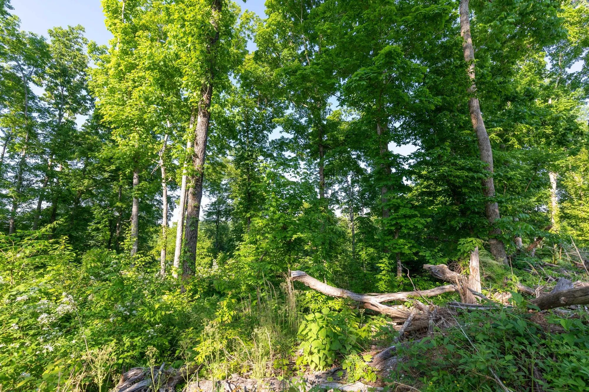 Cedar Creek Tract 52 in Perry County, TN