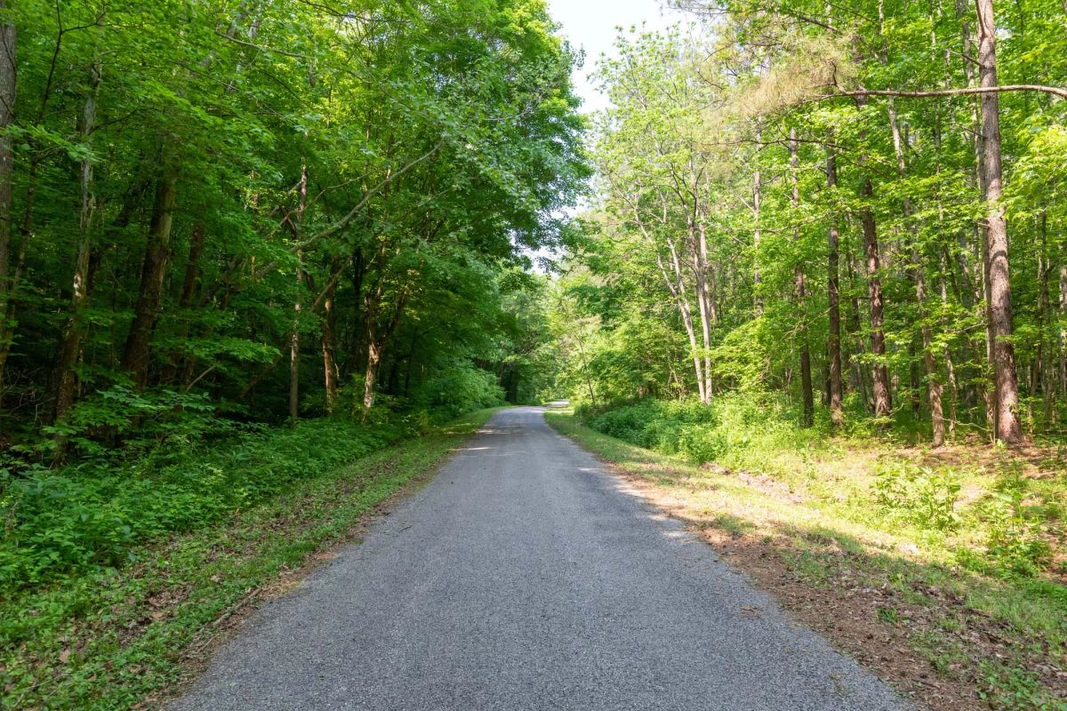 Decorative background for Cedar Creek Tract 52 image 8