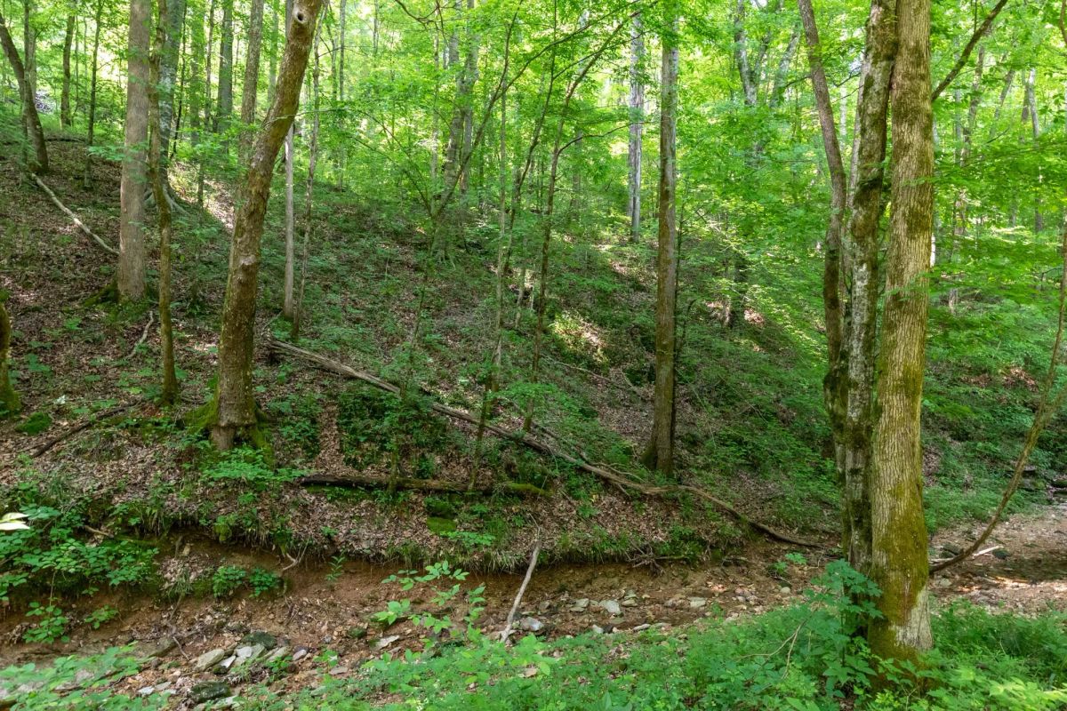 Decorative background for Cedar Creek Tract 52 image 15