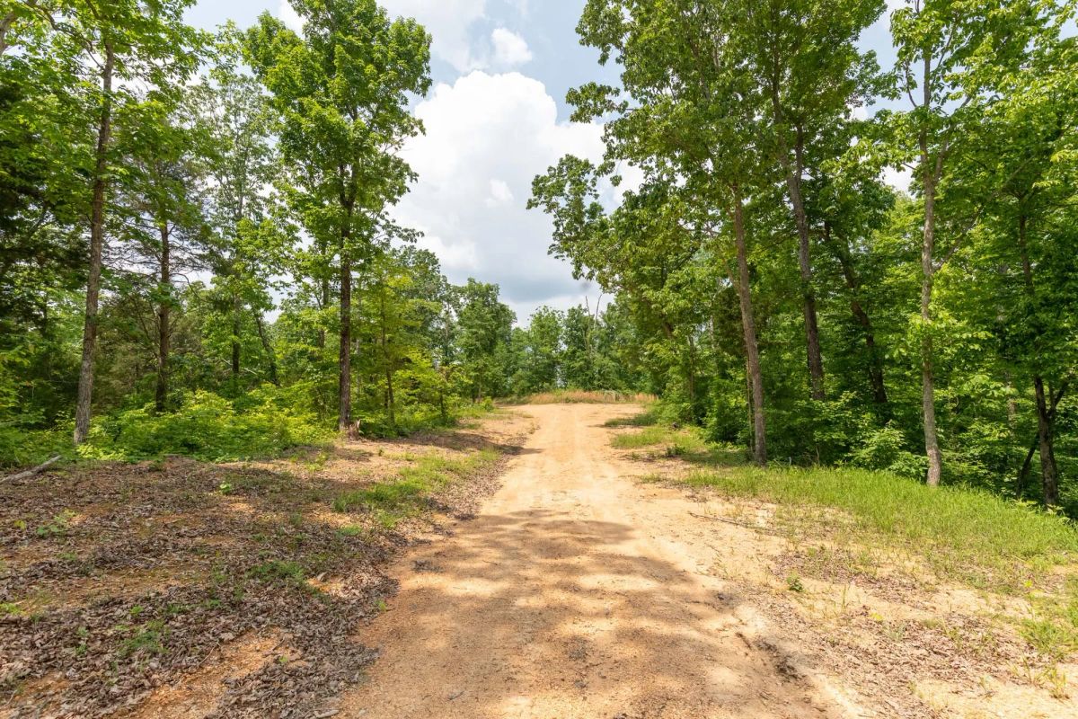 Cedar Creek Tract 12 - Main image