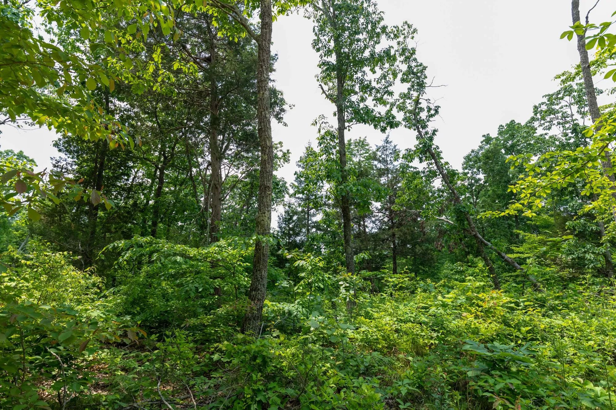 Cedar Creek Tract 12 in Perry County, TN