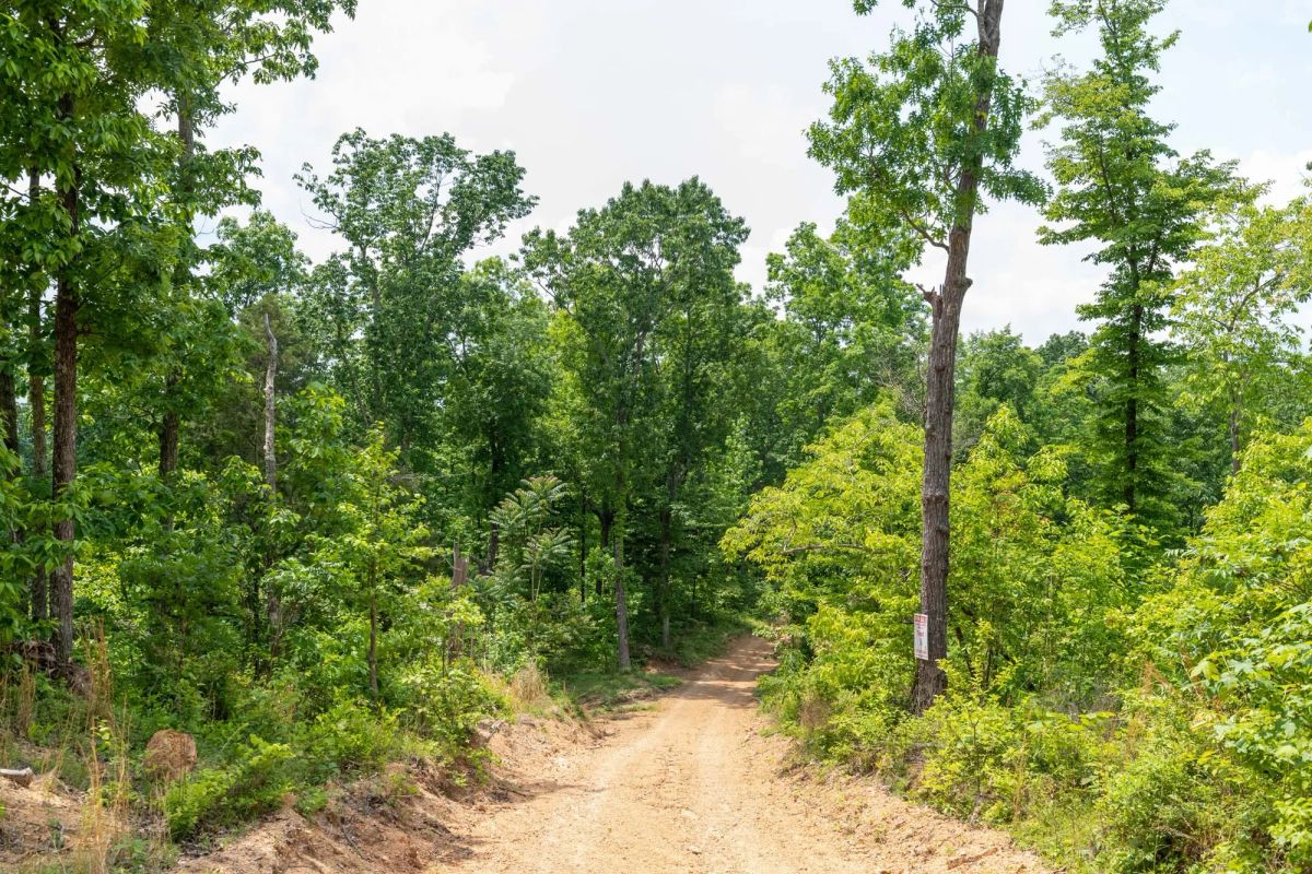 Decorative background for Cedar Creek Tract 12 image 7
