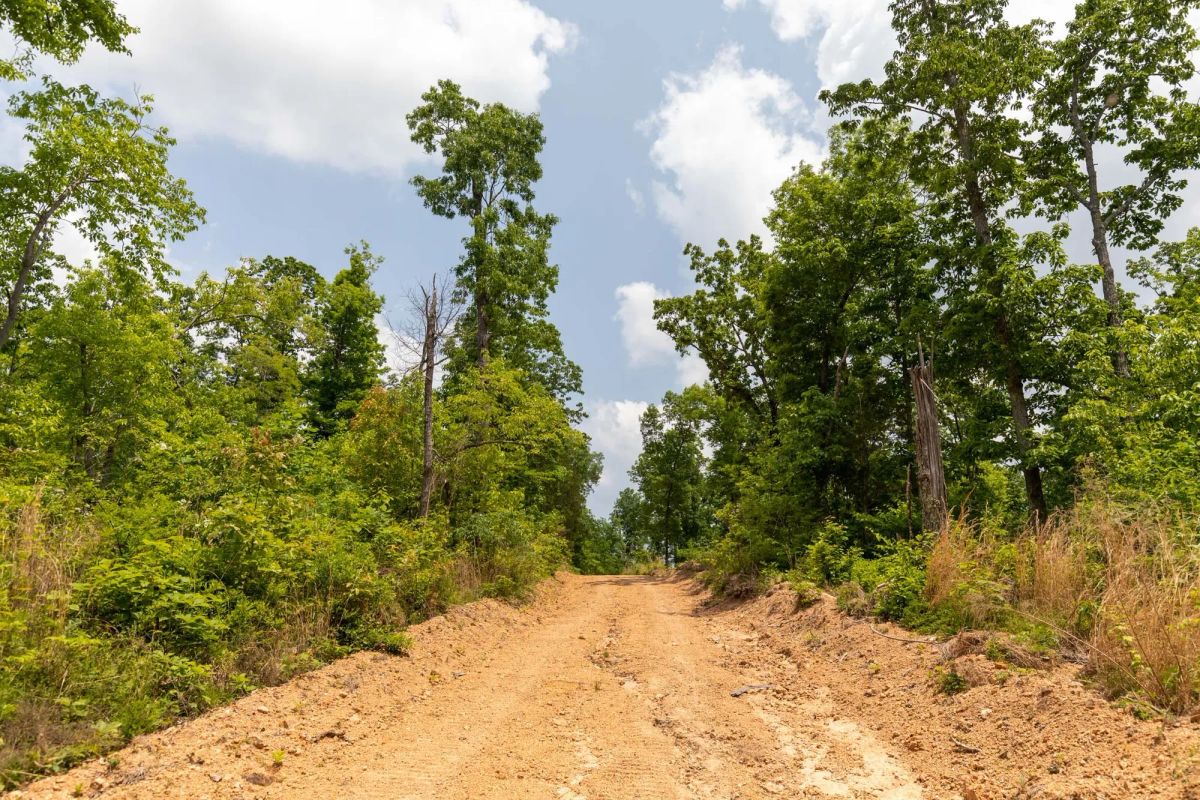 Decorative background for Cedar Creek Tract 12 image 10