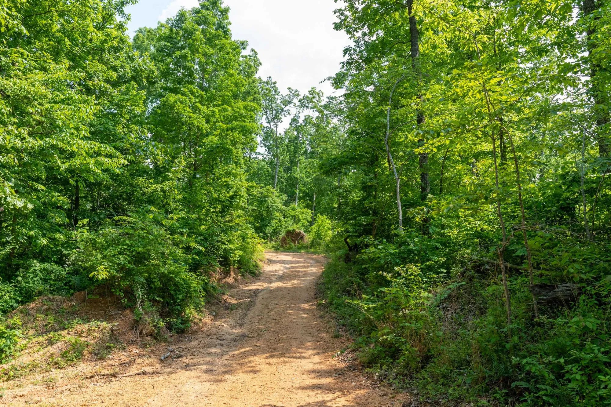 Cedar Creek Tract 59 in Perry County, TN