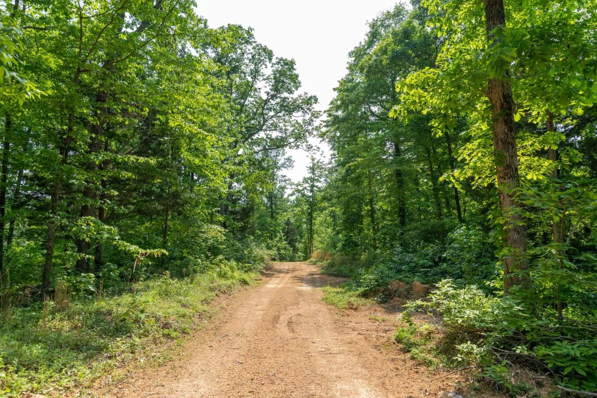 Decorative background for Cedar Creek Tract 59 image 5