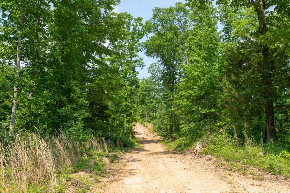 Decorative background for Cedar Creek Tract 59 image 9