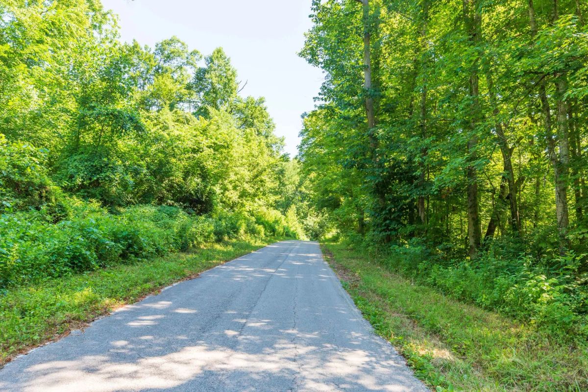 Decorative background for River’s Edge Tract 4 image 5