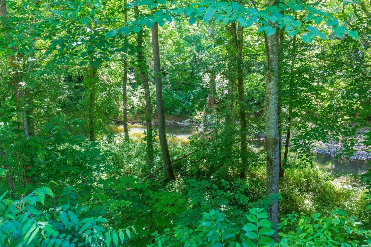 Decorative background for River’s Edge Tract 4 image 9