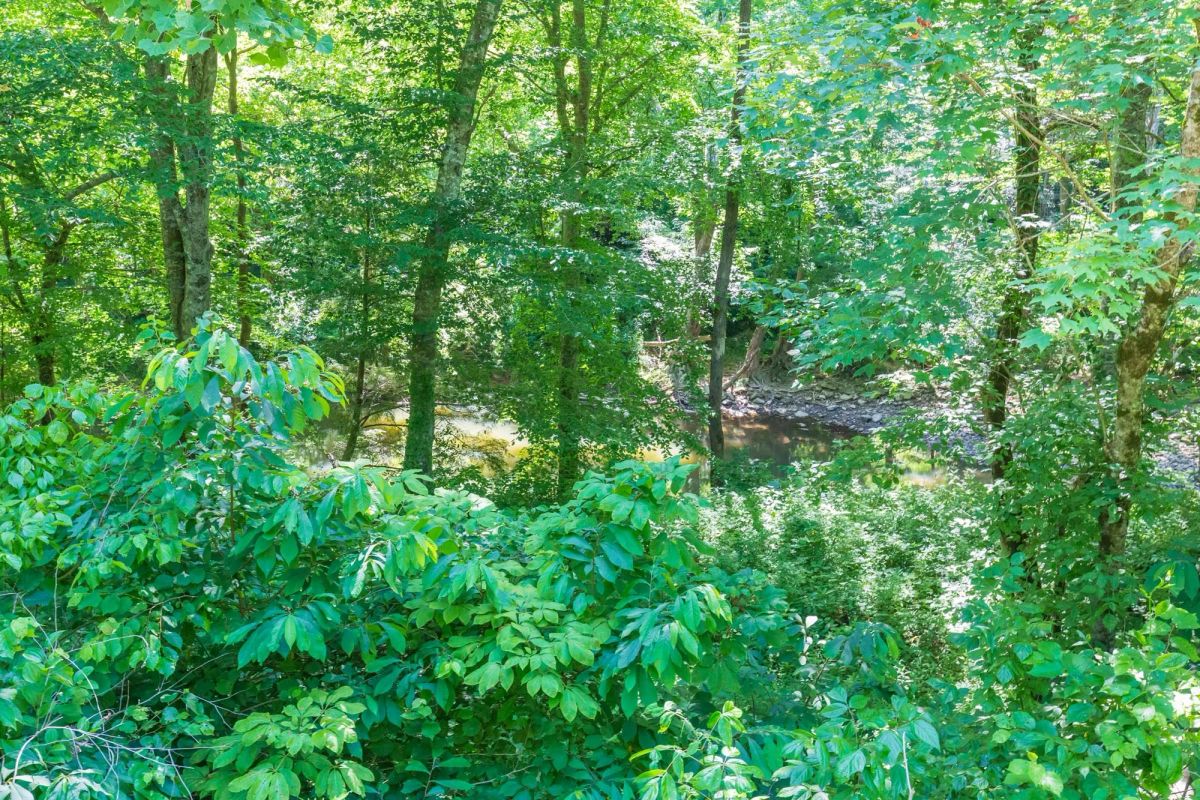 Decorative background for River’s Edge Tract 4 image 11