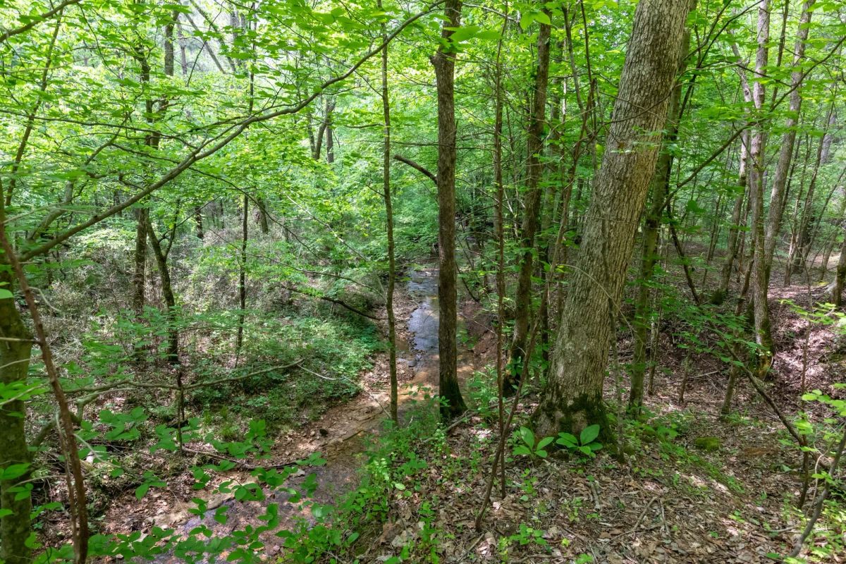 Falcon Crest Tract 20 - Image 2