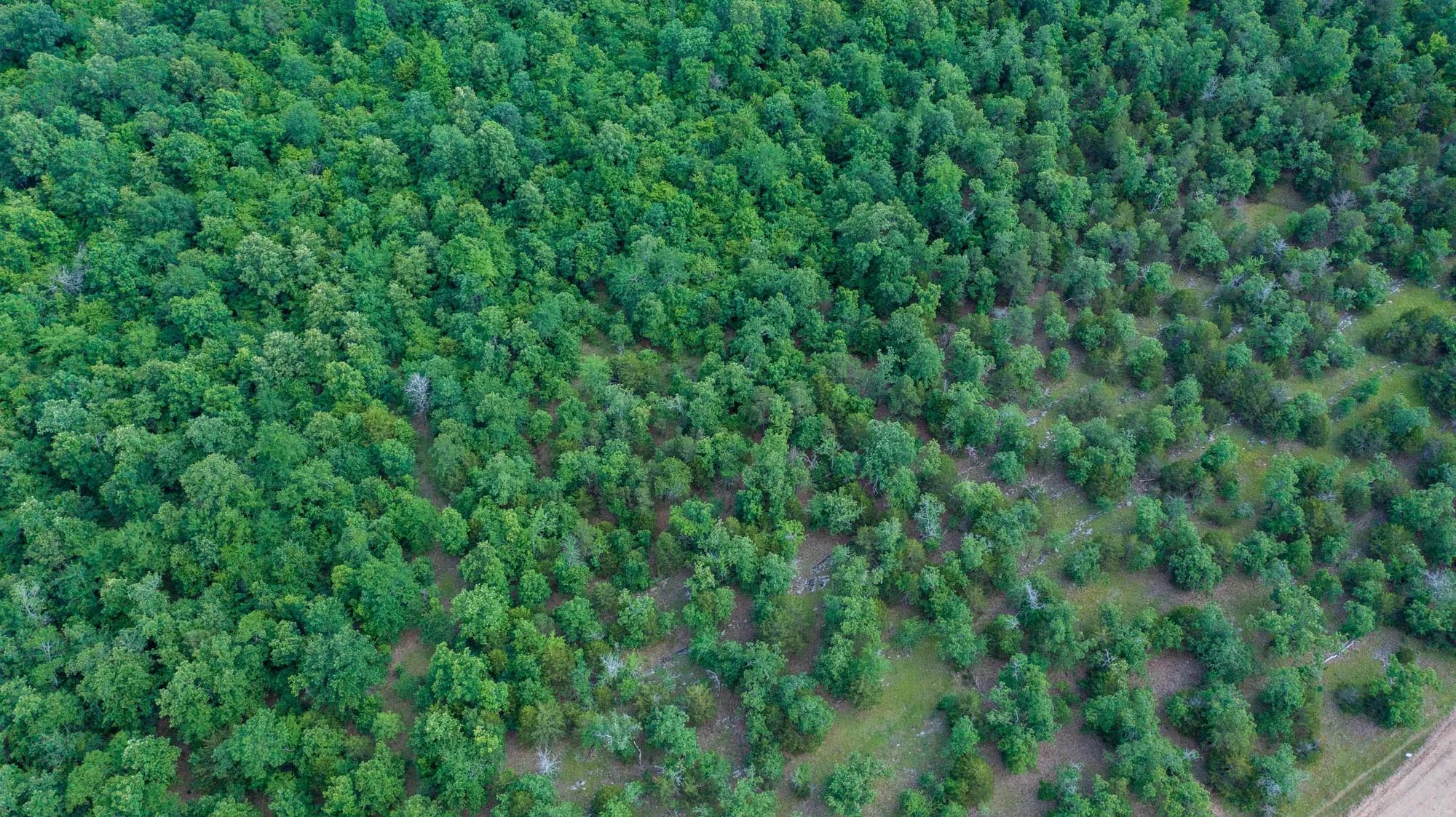 Falcon Crest Tract 20 in Pushmataha County, OK