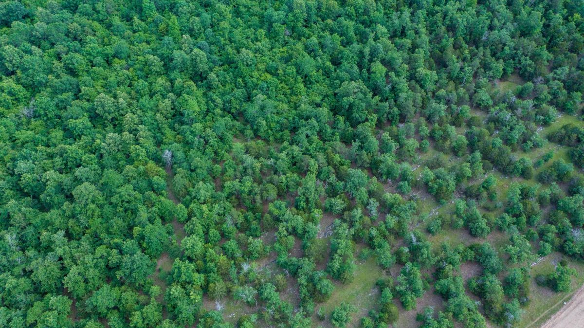 Falcon Crest Tract 20 - Image 3