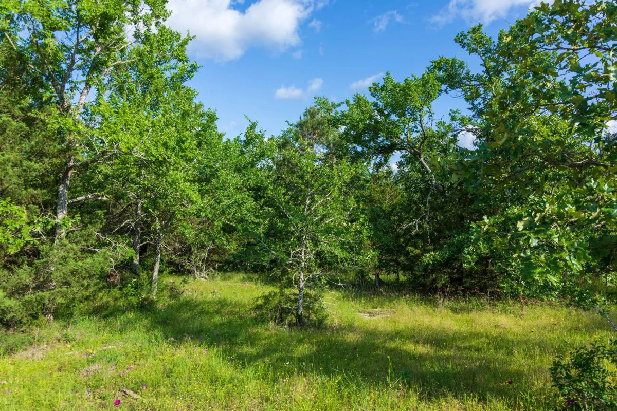 Decorative background for Falcon Crest Tract 20 image 9