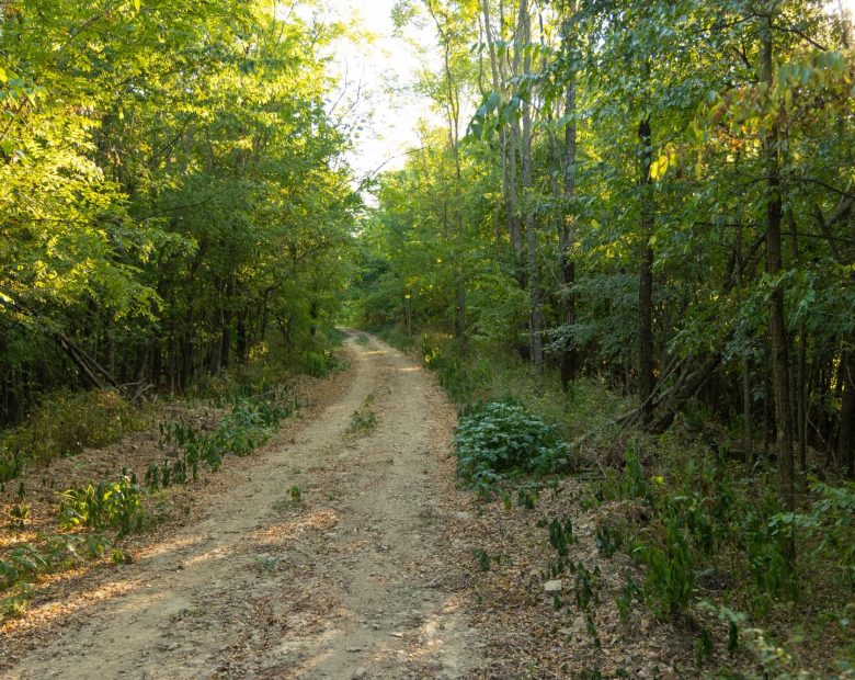 Big White Oak Tract 111 in Perry County, TN