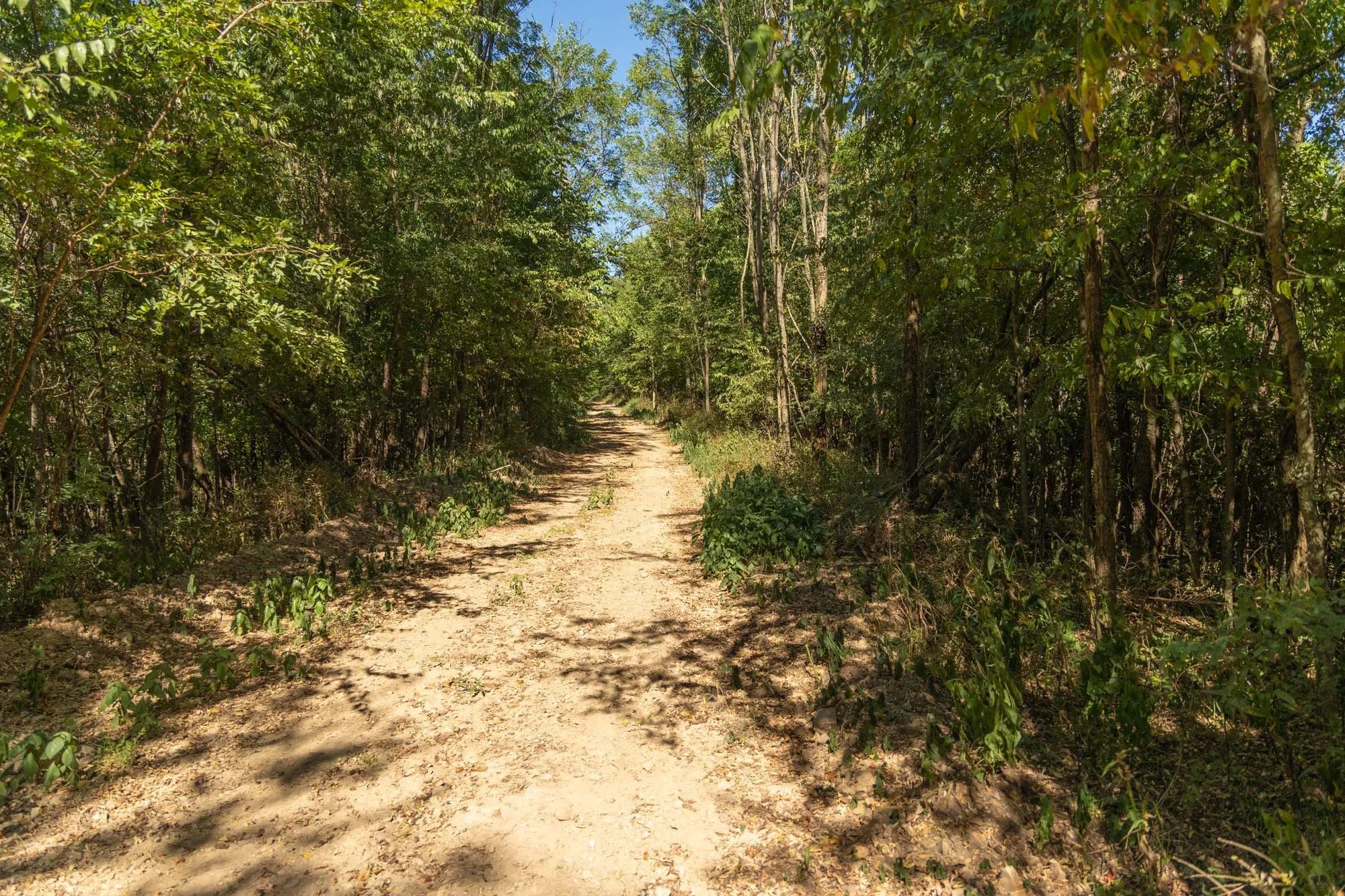 Big White Oak Tract 111 in Perry County, TN
