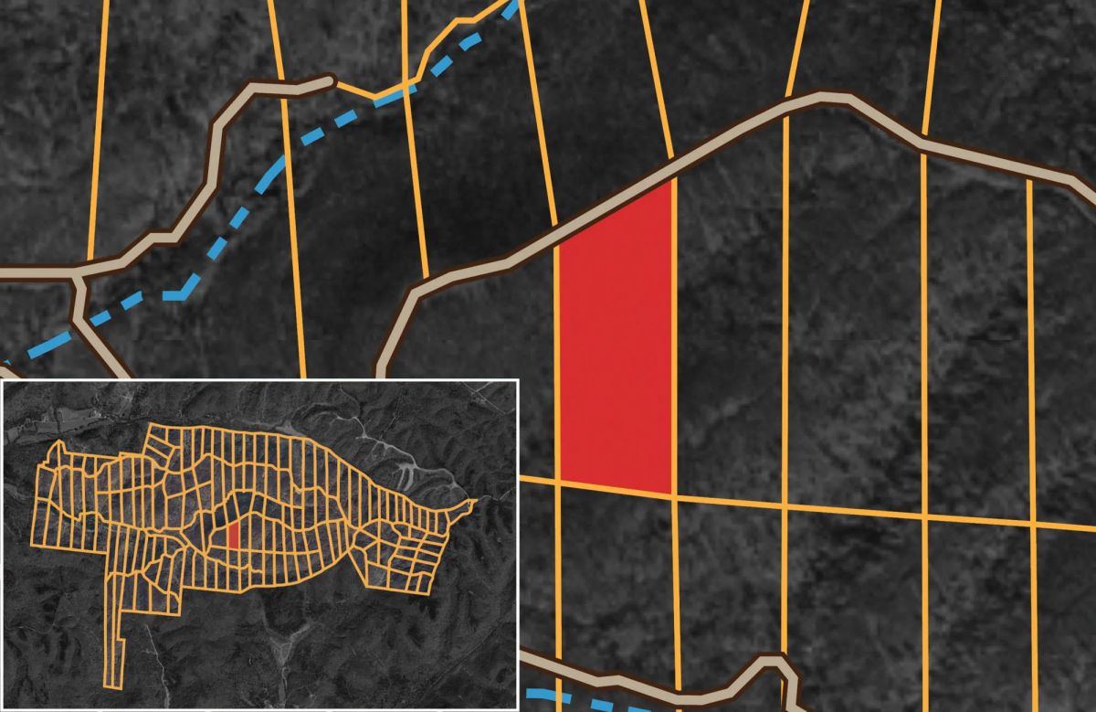 Decorative background for Big White Oak Tract 111 image 23