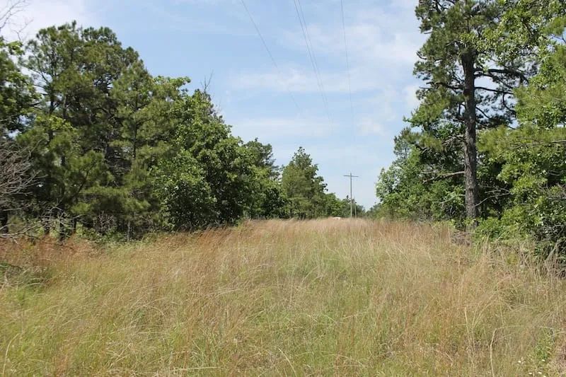 Indian Ridge – Phase II Tract 30 - Image 2