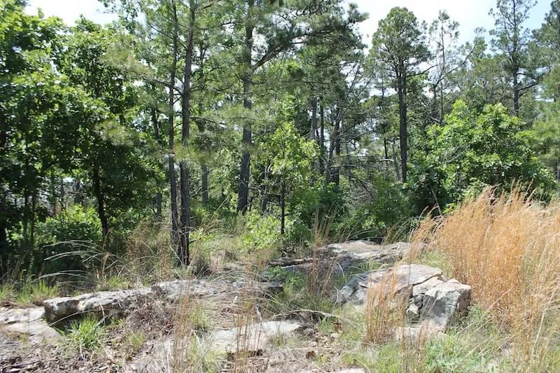 Indian Ridge – Phase II Tract 30 - Image 3