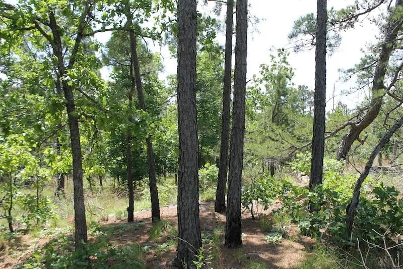 Indian Ridge – Phase II Tract 30 - Image 4