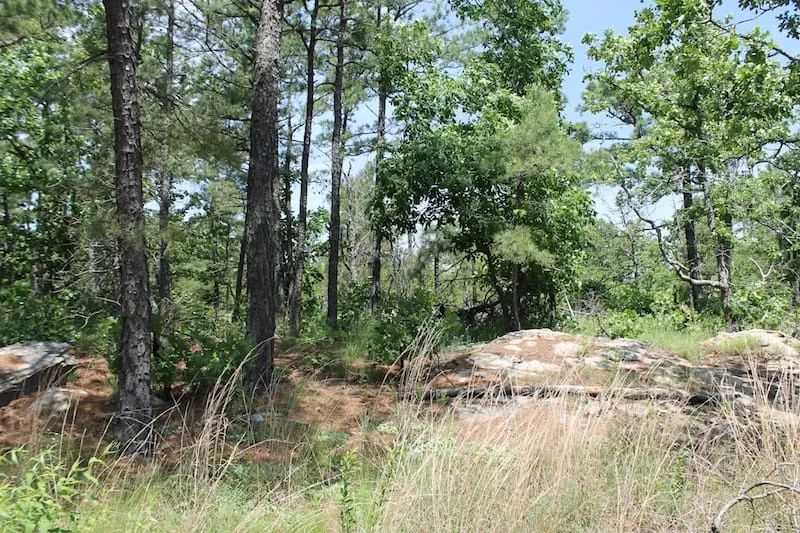Decorative background for Indian Ridge – Phase II Tract 30 image 7