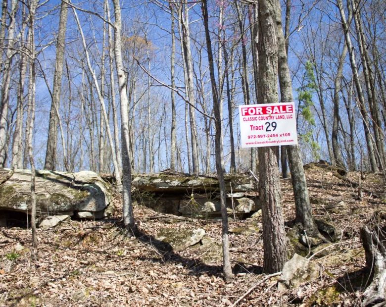 Chestnut Oak Ridge Tract 29 in Rockcastle County, KY